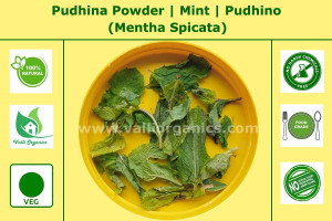 Pudhina Powder | Mint | Mentha Spicata 100gm