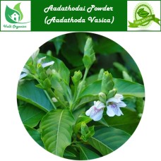 Adathodai Powder | Malabar Nut | Arusa | Adasoge Sappu | Aadathoda Vasica 100gm
