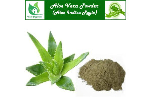 Sotru Katralai Powder | Indian Aloes | Ghritkumari | Kumari | Kattarvazha | Aloe vera 100gm