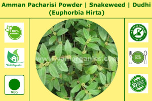 Amman Pacharisi Powder | Snake Weed | Dudhi | Achchedida | Akkigida | Euphorbia Hirta 100gm