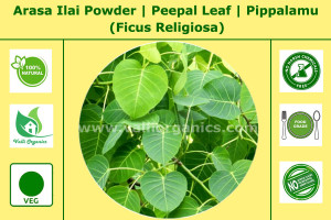 Arasa Ilai Powder | Peepal Leaf | Pipalamu | Aswantha | Ravi | Ficus Religiosa 100gm