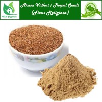 Arasa Vidhai Powder | Peepal Seeds | Pipalamu | Aswantha | Ficus Religiosa 100gm