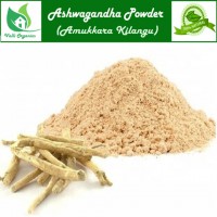 Amukkara Powder| Ashwagandha | Winter Cherry | Asvagandha | Withania Somnifera 100gm