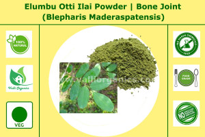Elumbu Otti Powder | Bone Joint | Dudhiya Choti | Blepharis Maderaspatensis 50gm