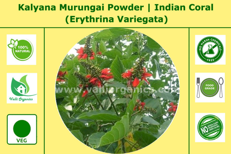 Kalyana Murungai Powder | Indian Coral | Pangara | Harivana | Erythrina Variegata 100gm Kalyana Murungai Powder | Indian Coral | Pangara | Harivana | Erythrina Variegata 100gm