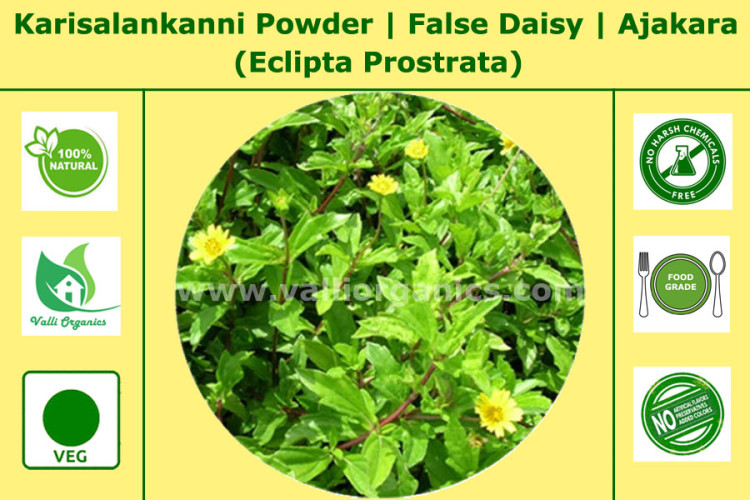 Karisalankanni Powder | Bhringaraj | Galakara | Ajakara | Eclipta Prostrata 100gm Karisalankanni Powder | Bhringaraj | Galakara | Ajakara | Eclipta Prostrata 100gm