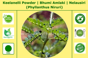 Keezhanelli Powder | Bhumi Amlaki | Nilanelli | Nelausiri | Phillanthus Niruri 100gm
