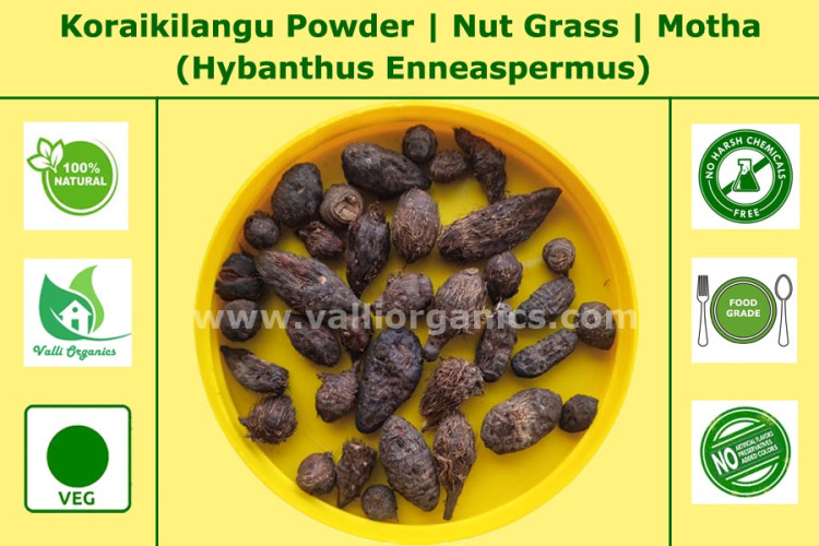 Koraikilangu Powder | Nut Grass | Nagarmotha | Konnari | Cyperus Rotundus 100gm Koraikilangu Powder | Nut Grass | Nagarmotha | Konnari | Cyperus Rotundus 100gm
