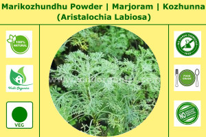 Marikolunthu Powder | Marjoram | Kozhunna | Aristalochia Labiosa 100gm