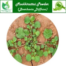 Mookkirattai Roots Powder | Red Hogweed | Punarnava | Komme | Boerhavia Diffusa 100gm