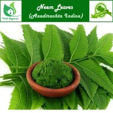 Veppa Ilai Powder | Neem Leaves | Neem Akharot | Bevina | Azadirachta Indica 100gm