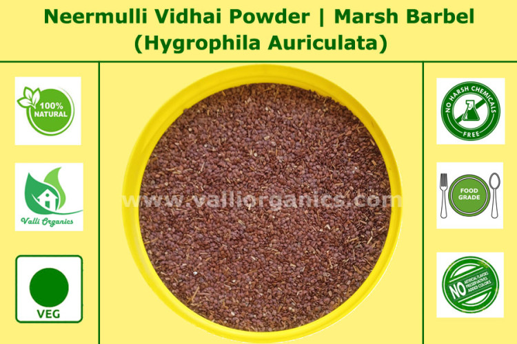 Neermulli Seeds Powder | Marsh Barbel | Talmakhana | Kolavali | Hygrophila Auriculata 100gm Neermulli Seeds Powder | Marsh Barbel | Talmakhana | Kolavali | Hygrophila Auriculata 100gm