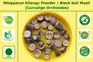 Nilappanai Kilangu Powder | Black Musli | Kali Musli | Curculigo Orchioides 100gm Nilappanai Kilangu Powder | Black Musli | Kali Musli | Curculigo Orchioides 100gm