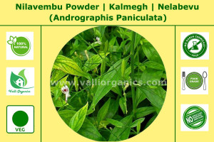 NIlavembu Powder | Siriyanangai | Kalmegh | Nelabevu | Andrographis Paniculata 100gm