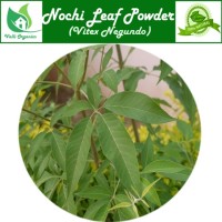 Nochi Powder | Chaste Tree | Nirgundi | Sindvara | Vavili | Indrani | Vitex Negundo 100gm