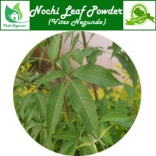 Nochi Powder | Chaste Tree | Nirgundi | Sindvara | Vavili | Indrani | Vitex Negundo 100gm