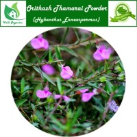 Orithazh Thamarai Powder| Spade Flower | Ratnapurush | Hybanthus Enneaspermus 100gm