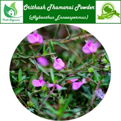 Orithazh Thamarai Powder| Spade Flower | Ratnapurush | Hybanthus Enneaspermus 100gm