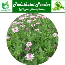 Poduthalai Powder | Turkey Tangle | Jalpapli | Nelahippali | Phyla Nodiflora 100gm
