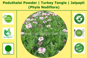 Poduthalai Powder | Turkey Tangle | Jalpapli | Nelahippali | Phyla Nodiflora 100gm
