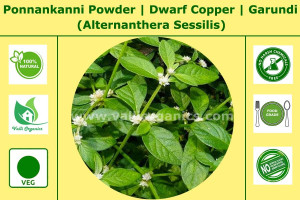 Ponnanganni Powder | Dwarf Copper | Garundi | Honagonne | Alternanthera Sessilis 100gm