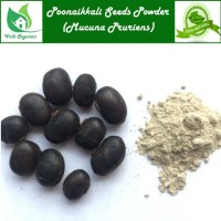 Poonaikkali Seeds Powder | Velvet Beans | Jangali | Naikkuran | Dulagondi | Mucuna Pruriens 100gm