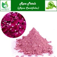 Rose Petals Powder | Desi Gulab | Pannir Poo | Gulabi Puvu | Tarana | Rosa Indica 100gm