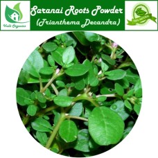 Saranai Roots Powder | Red Hogweed | Punarnava | Komme | Boerhavia Diffusa 100gm