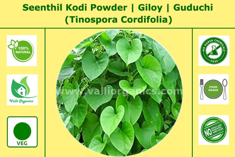 Seenthil Kodi Powder | Guduchi | Gilloy | Amruthaballi | Tinospora Cordifolia 100gm Seenthil Kodi Powder | Guduchi | Gilloy | Amruthaballi | Tinospora Cordifolia 100gm