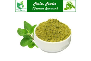 Thulasi Powder | Sacred Basil | Holy Basil | Thulsi | Ocimum Tenuiflorum 100gm