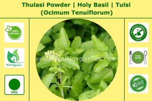 Thulasi Powder | Sacred Basil | Holy Basil | Thulsi | Ocimum Tenuiflorum 100gm Thulasi Powder | Sacred Basil | Holy Basil | Thulsi | Ocimum Tenuiflorum 100gm