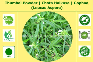 Thumbai Powder | Leucas | Chota Halkusa | Gophaa | Tumbe Guda | Leucas Aspera 100gm