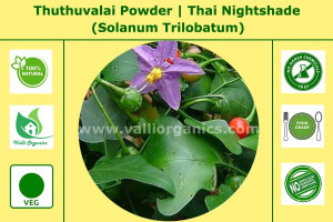 Thuthuvalai Powder | Thai Nightshade | Kantakaari | Kakamunji | Solanum Trilobatum 100gm