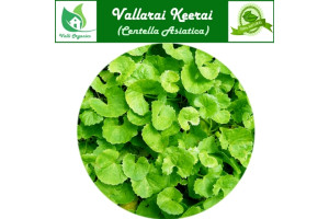 Vallarai Powder | Pennywort | Brahmi | Ondelaga | Saraswati Aku | Centella Asiatica 100gm