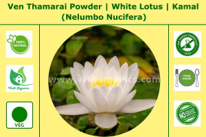 Ven Thamarai Powder | White Lotus | Bili Kamala | Tamara | Nelumbo Nucifera 100gm