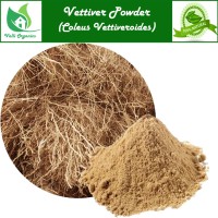 Vettiver Powder | Valak Roots | Iruvelli | Kuriveru | Coleus Vettiveroides 100gm