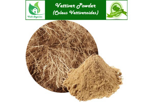 Vettiver Powder | Valak Roots | Iruvelli | Kuriveru | Coleus Vettiveroides 100gm