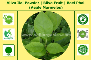 Vilva Ilai Powder | Bael | Bela Phal | Sriphal | Bilva | Koovalam | Aegle Marmelos 100gm