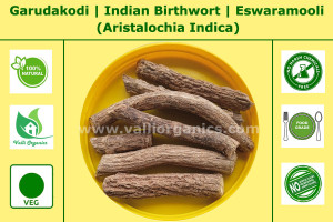 Garuda Kodi | Indian Birthwort | Iswaramul | Ishwara beru | Aristolochia indica 100gm
