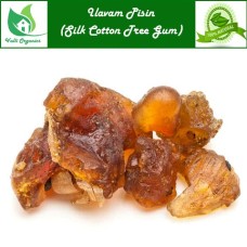 Ilavam Pisin | Silk Cotton Tree Gum | Semal Gum| Shalmali | Buruga | Bombax Seiba 100gm