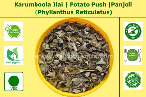 Karumboola  Leaves | Karu Nelli | Panjoli | Panjuli | Phyllanthus Reticulatus 100gm