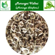 Murungai Vidhai | Drumstick Seeds | Ahijan | Munaga | Moringa Oliefera 100gm