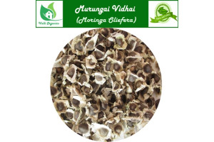 Murungai Vidhai | Drumstick Seeds | Ahijan | Munaga | Moringa Oliefera 100gm