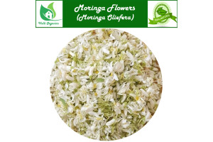 Murungai Poo | Drumstick Flower | Mochakamu | Munaga | Moringa Oliefera 50gm