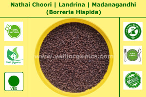 Nathai Soori | Landrina | Madanaganthi | Madana Budumachi | Borreria Hispida 100gm