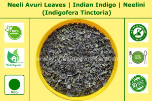 Neeli Avuri Leaf | Indian Indigo | Neelini | Karunili | Neelayamari | Indigofera Tinctoria 100gm