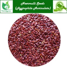Neermulli Seeds | Marsh Barbel | Talmakhana | Kolavali | Hygrophila Auriculata 100gm