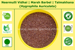 Neermulli Seeds | Marsh Barbel | Talmakhana | Kolavali | Hygrophila Auriculata 100gm