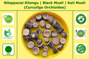 Nilappanai Kilangu | Black Musli | Kali Musli | Curculigo Orchioides 100gm