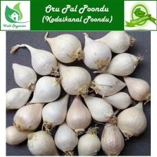 Oru Pal Poondu | Solo Garlic | Single Clove Garlic | Ek Kal Lehsun | Allium Sativum 100gm
